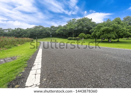 empty asphalt road in park
