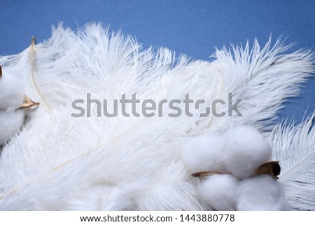 background of fluffy white ostrich feathers and cotton close-up 