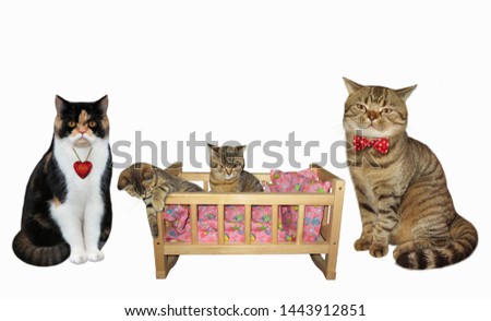 The wooden cradle with kittens is between their cat parents. White background. Isolated.