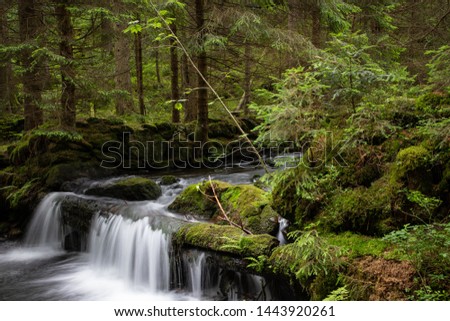Water cascading over a rocky shelf in a river in a small picturesque waterfall with lush green vegetation