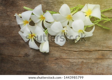 The beautiful white flowers call Frangipani or Plumeria flowers on the blurry old wood background