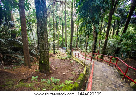 Path and track in Mount Tidar, a tourist destination for nature tourism, cultural tourism and pilgrims.  Royalty-Free Stock Photo #1444020305