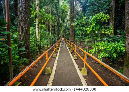 Path and track in Mount Tidar, a tourist destination for nature tourism, cultural tourism and pilgrims.  Royalty-Free Stock Photo #1444020308