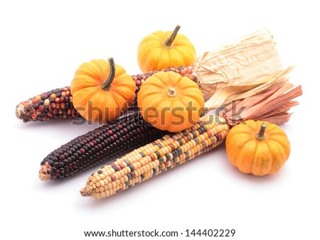 Indian corns and little pumpkins on white background