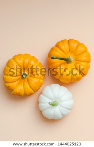Creative Top view flat lay autumn composition. Frame concept pumpkins color paper background copy space. Template fall harvest thanksgiving halloween anniversary invitation cards