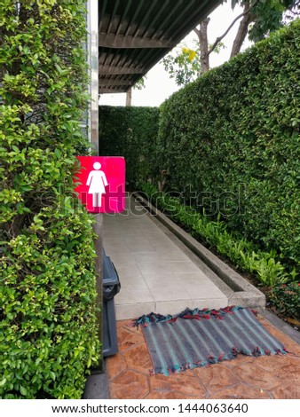 Toilet sign background​ Green​ Leaves banyan tree blooming is a wall​ in the park.Female bathroom sign.