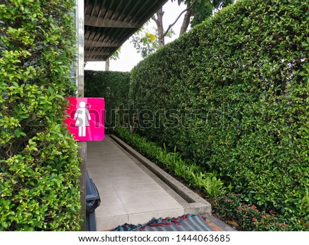 Toilet sign background​ Green​ Leaves banyan tree blooming is a wall​ in the park.Female bathroom sign.
