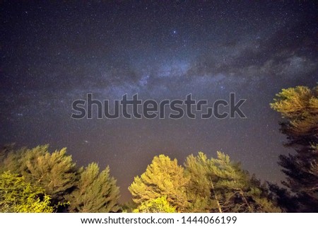 Starry sky with Milky way seen from mountain through trees in forest