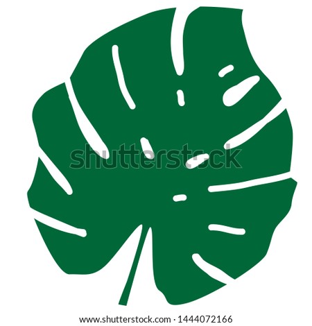 leaf of palm trees isolated background vector
