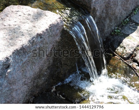 Water stream in summer park