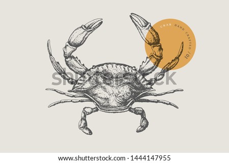 Sea crab drawn by graphic lines on a light background. Retro engraving for a menu of fish restaurants, for packaging in markets and in stores. Vector vintage illustration. Royalty-Free Stock Photo #1444147955