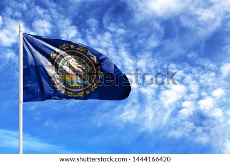 National flag State of New Hampshire on a flagpole in front of blue sky