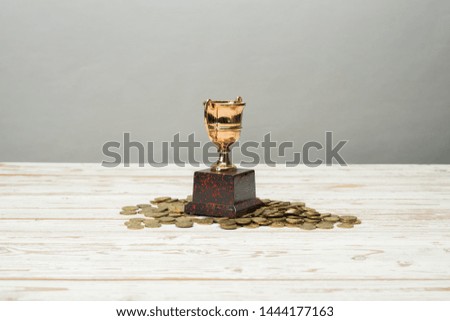 Golden Trophy on bed of coins.Successful financial plan concept.