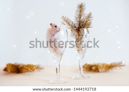 hamster in a glass on a bright New Year background