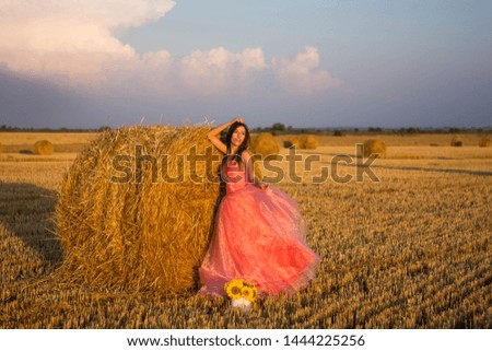young woman in a beautiful pink dress in the hay beauty sunset field nature fashion style