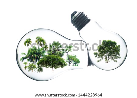 Eco-concept with trees in abstract light bulbs on the sky background