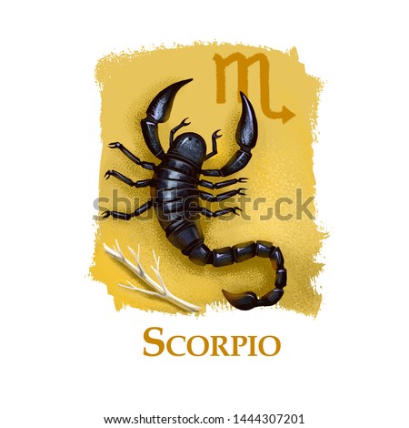 Creative digital illustration of astrological sign Scorpio. Eighth of twelve signs in zodiac. Horoscope water element. Logo sign with scorpion. Graphic design clip art for web and print. Add any text