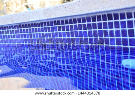 blue swimming pool with sun loungers