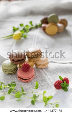 Macarons on white background and rustic wooden table