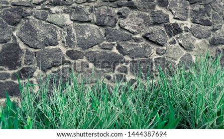 Background stone wall, texture of light brick with plants of green grass and flowers.