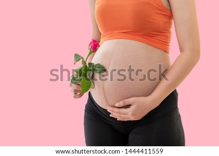Close up images of Pregnant women Holding a pink rose flower for the baby in her stomach with pink background, to maternity concept.
