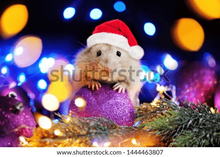 Christmas card with a rat wearing Santa hat