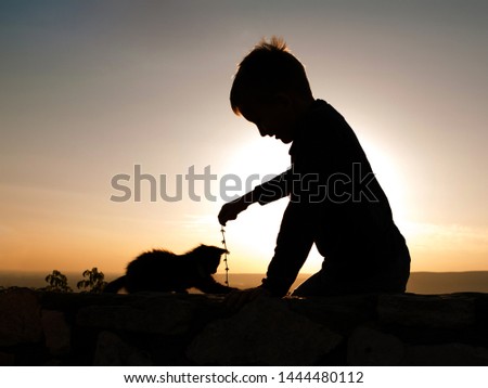 Silhouettes of playing child and kitten against the sunset sky. Fun photo. Communication with animals. Joyful boy. Bright sunset.