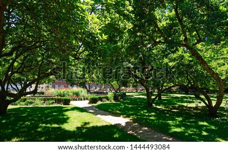 View of the historic magnolia garden of Aschaffenburg in Bavaria