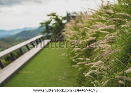 The picture of grass field at the hill.