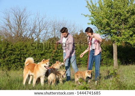 Owners walking their adorable Akita Inu dogs in park