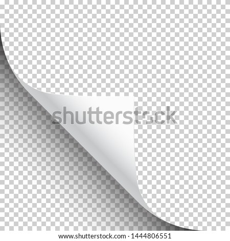 Curled page corner with shadow on transparent background. Blank sheet of paper. Vector illustration. Royalty-Free Stock Photo #1444806551