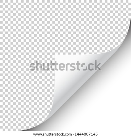 Curled page corner with shadow on transparent background. Blank sheet of paper. Vector illustration. Royalty-Free Stock Photo #1444807145