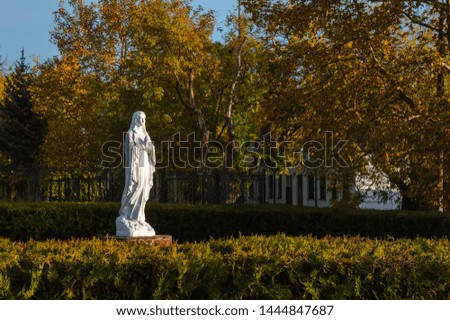 Statue of  Blessed Virgin Mary