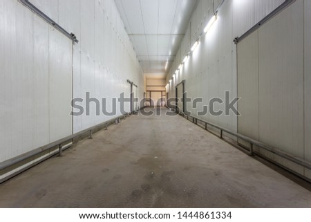 Empty hangar for fruits and vegetables in storage stock. production warehouse. Plant Industry