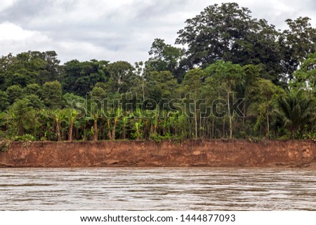 Eco tourism boat tour on Beni river, view on muddy river water and green rainforest at Madidi national park, Amazon river basin in Bolivia, South America