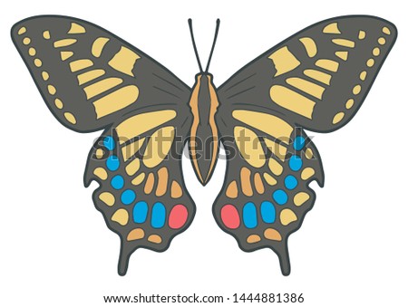 'Papilio Machaon' or 'Old World Swallowtail'  butterfly accurate vector illustration