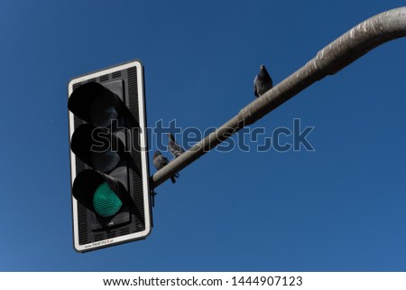 green traffic light and doves on it