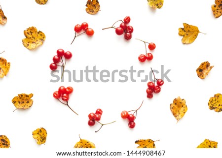 Autumn background: Red berries in a circle surrounded yellow leaves. Flat lay. Copy space.