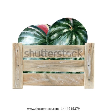 Watercolor illustration with wooden crate with riped watermelons. Could be used for menu, farm markets, banner, prints. 