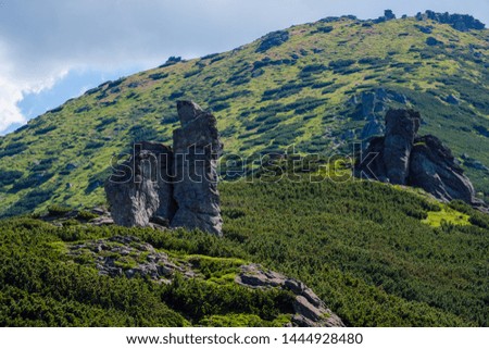Big rocky vertical boulders on summer mountain ridge, Carpathian, Chornohora, Vuhatyj Kaminj, Ukraine.