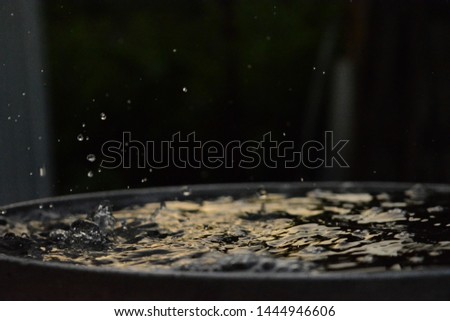 
water, splash of water, raindrops falling into the water