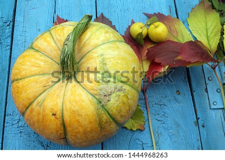 autumn background. pumpkin and leaves on a blue wooden background
