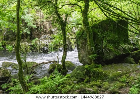 big stone surrounded by green trees next to a river