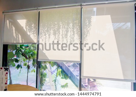 white roller blind in the glass room that protect hot sun and the shadow of hanging ornamental plants. Royalty-Free Stock Photo #1444974791