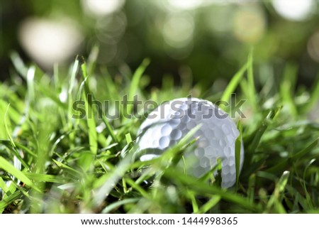 closeup of golf ball in rough green bokeh background