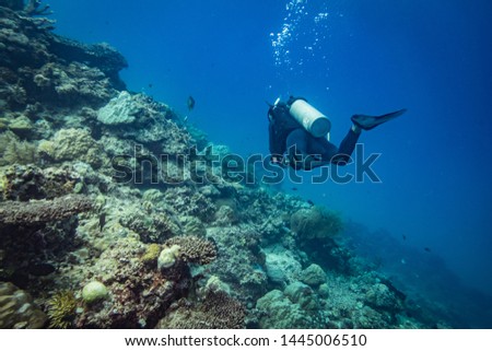back profile of a scuba diver diving in coron palawan