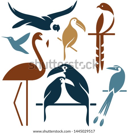 Set of colorful birds. Bird logo silhouettes. Vector Flamingo, Toucan, Cockatoo, Hummingbird, Eagle, Parrot, Forty