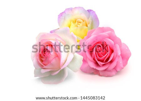Three beautiful rose blossoms, covered