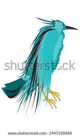 blue jay bird design vector illustration