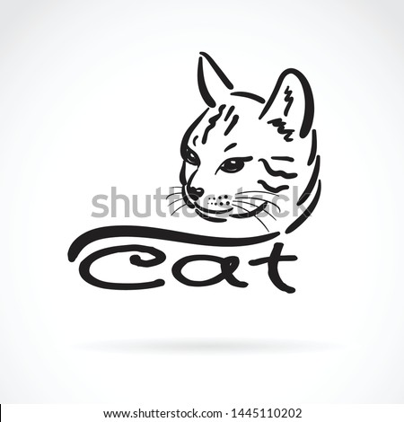 Vector of freehand cat head painting on white background. Pet. Animal. Easy editable layered vector illustration.
